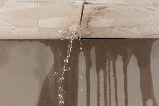 Professional Burst Pipe Cleanup technician working in Cambridge, NE